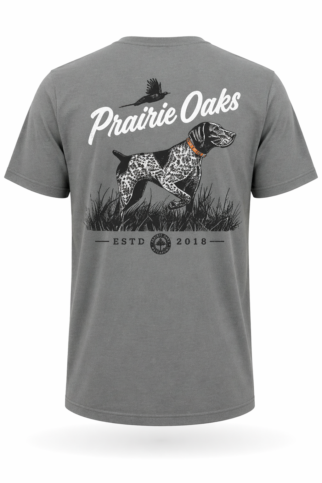 Pointing