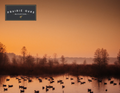 Prairie Oaks Waterfowl Gift Card